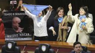 Tucumán quiere penalizar el aborto en caso de violación