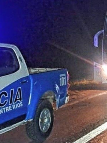Un colectivo chocó a un animal en ruta 14 y el chofer resultó ileso