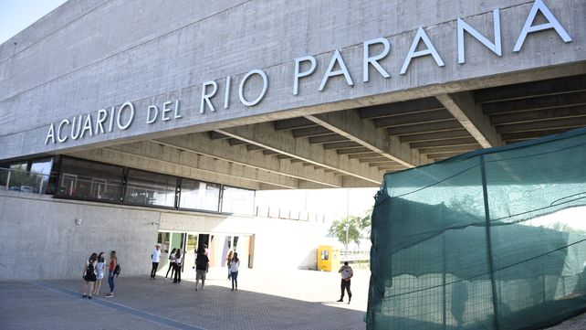 Conocé antes de que se inaugure cómo es por dentro el nuevo acuario de Rosario