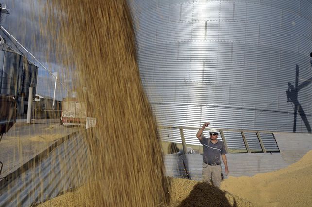 Paritarias: 30% de aumento para el trabajo rural en semilleros