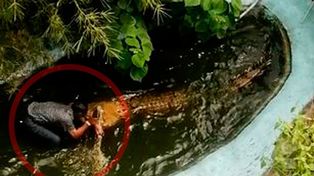 Un turista resultó herido cuando se quiso sacar una selfie con un cocodrilo pensando que era una estatua