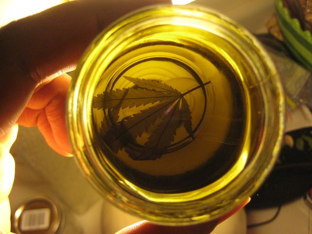 Santa Fe a un paso de consolidar su propia producción de aceite de cannabis