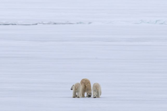 Foto. Gentileza CGTN en Español.