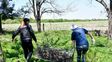 Rescataron y liberaron a más de 300 aves que estaban encerradas en una casa abandonada