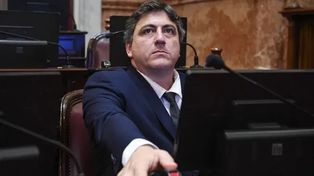 Franciso Paoltroni, el polémico senador nacional de La Libertad Avanza, se refirió a la posibilidad de que se apruebe la ley Bases en el Senado.