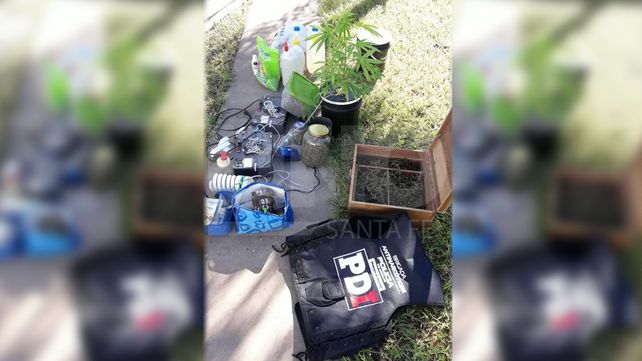 Vendía drogas y cultivaba marihuana en un vivero artesanal y terminó tras las rejas