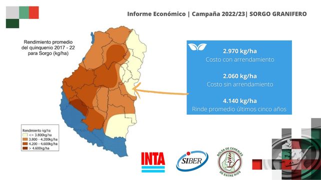 Entre Ríos: cuántos kilos de sorgo deben recolectar los productores para cubrir costos