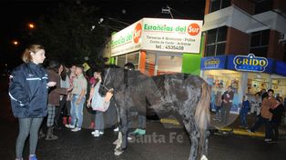 Un caballo que tiraba un carro se desplomó en pleno Bulevar y 25 de Mayo