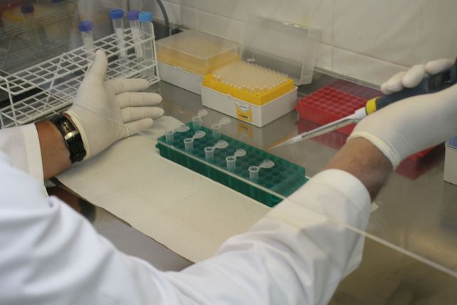 Achique. Se deshizo el Plan Argentina Innovadora que buscaba dar mayor protagonismo a la ciencia en el país.