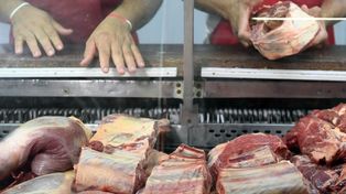 Es imposible que el precio de la carne baje en el corto plazo