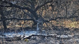 Capacitan a pobladores del Delta a prevenir y combatir los incendios de manera natural.