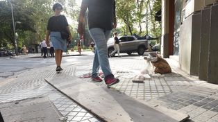 Las nuevas veredas del Paseo del Siglo duraron tan solo cuatro años