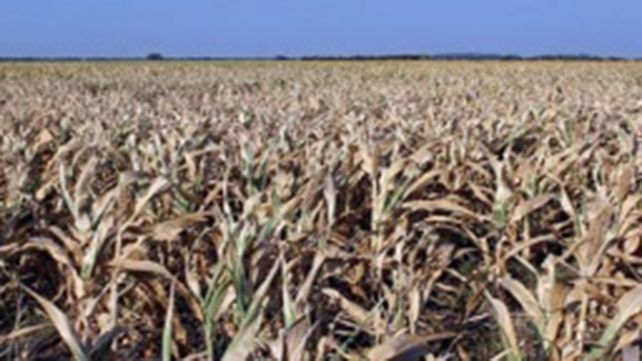 Por la sequía, Bordet declaró la emergencia agropecuaria