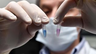 La ciudad alcanzó los 43 días sin contagios y a nivel nacional hubo récord de casos