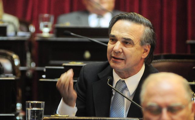 El futuro. Para el jefe de senadores