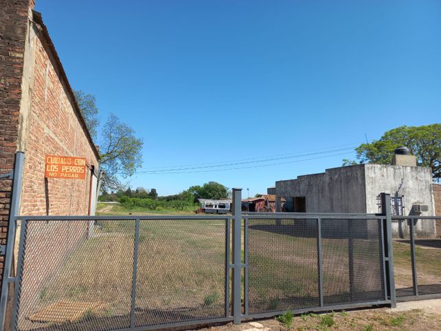 Monte Vera: un hombre murió tras ser atacado por un enjambre de abejas en su vivienda rural