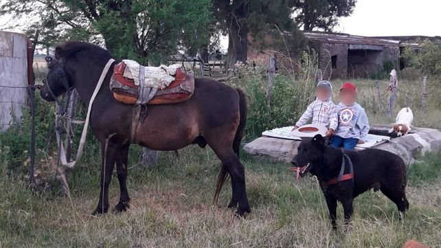 Uno de los caballos robados en Monte Vera