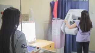 Según especialistas, las estadísticas del cáncer de mama no han variado.