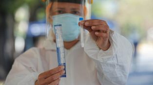 Argentina tuvo algo menos de diez mil nuevos casos de coronavirus y 284 muertes