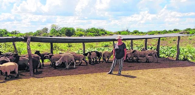Griselda Demelchiori y su familia iniciaron la actividad con 50 madres y actualmente ya superan las 100.