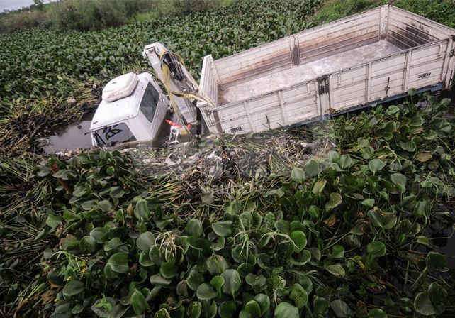 Un camión terminó en el agua tras un choque