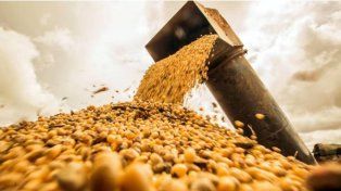 Ley de Semillas: punto clave del acuerdo con Estados Unidos reabre una grieta en el campo