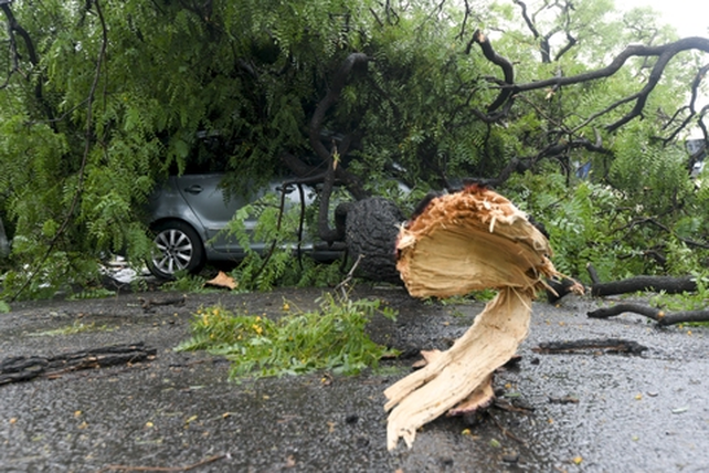 La destrucción de árboles y daños en los autos, una constante a lo largo de toda la zona central del país.