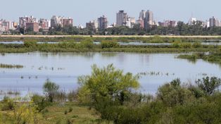 Condicionado por el Paraná, el río Salado superó el alerta técnica en Santo Tomé