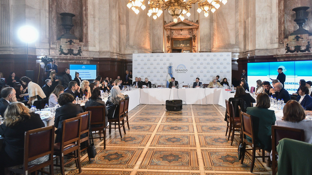 El plenario de comisiones que deliberó en la Cámara alta nacional.