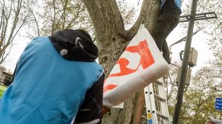 Veinte personas en doble turno trabajarán en la remoción del material publicitario colocado en la vía pública en el marco de la campaña electoral