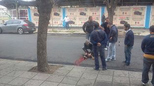 Las redes sociales repudiaron la cruel muerte de un perro