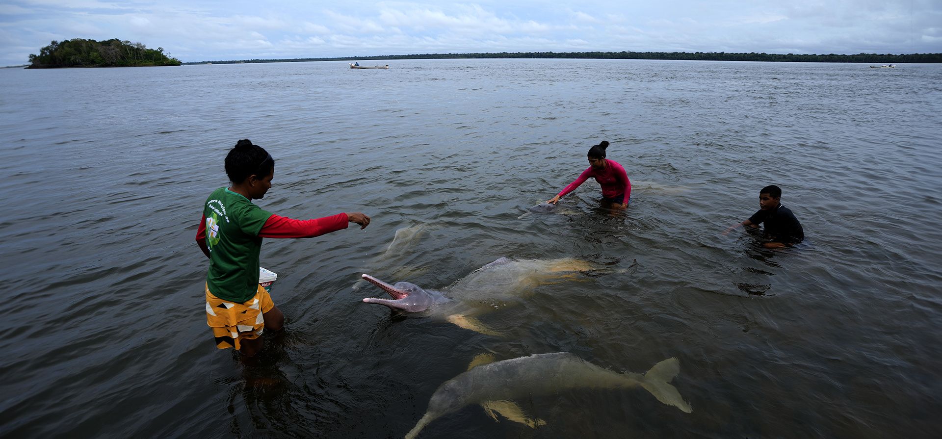 Biólogos alimentan a los delfines del río Amazonas, conocidos como botos, en una reserva natural y zona turística a orillas del río Tocantis, en el municipio de Mocajuba, estado de Pará, Brasil, el sábado 3 de junio de 2023. (Foto AP/Eraldo Peres) Biólogos alimentan a los delfines del río Amazonas, conocidos como botos, en una reserva natural y zona turística a orillas del río Tocantis, en el municipio de Mocajuba, estado de Pará, Brasil, el sábado 3 de junio de 2023. (Foto AP/Eraldo Peres)