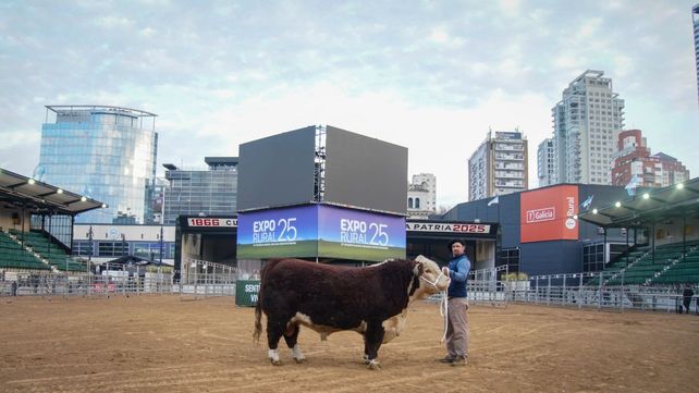 Cabaña San Marón participará por tercera vez en La Rural.