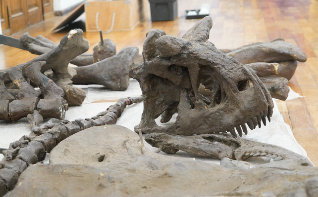 Vacaciones de invierno: un martes de cita con los dinosaurios y la naturaleza