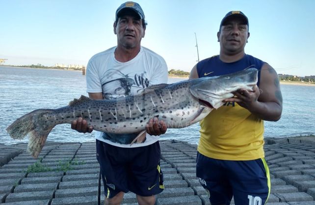 El surubí gigante que pescaron en la laguna Setúbal