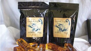 El caf&eacute; m&aacute;s caro del mundo tiene excremento de marsupial