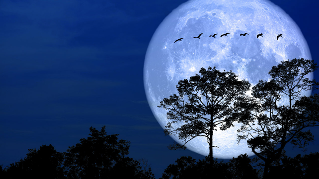 La Luna llena podrá verse desde cualquier parte del país y sin necesidad de contar con alguna ayuda óptica.