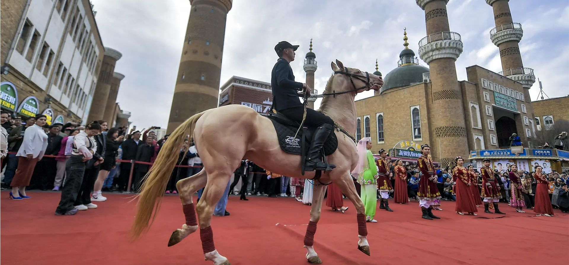 Un caballo Akhal-Teke hace su debut en el gran bazar internacional de Xinjiang en la ciudad de Ürümqi, Xinjiang, China. Fotografía: Rex/Shutterstock Un caballo Akhal-Teke hace su debut en el gran bazar internacional de Xinjiang en la ciudad de Ürümqi, Xinjiang, China. Fotografía: Rex/Shutterstock