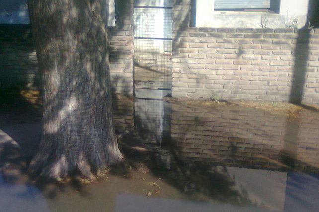 Barrio Alfonso: vecinos de la zona denuncian el ingreso de líquidos cloacales a sus casas