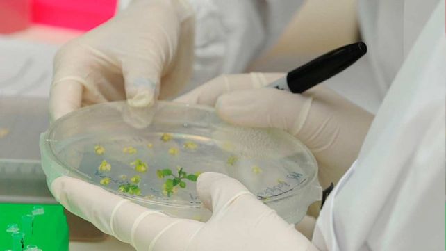 Por los efectos del cambio climático en la producción