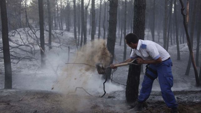 Aseguran que está controlado el voraz incendio en los bosques de Valeria del Mar