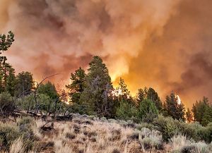 El incendio forestal más grande de Estados Unidos se expande por Oregon