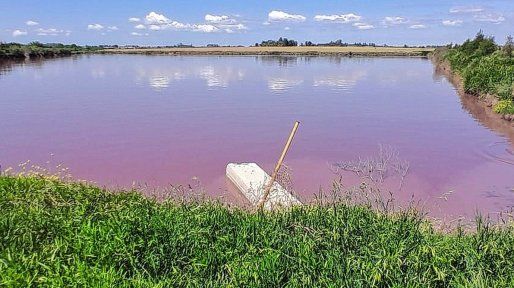 Arroyo Espinillo: analizan el agua y refuerzan la vigilancia