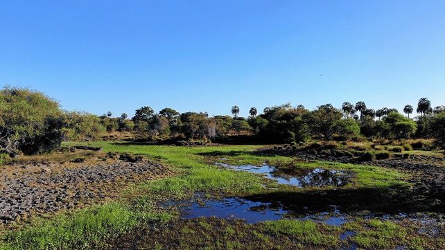El Parque Nacional Selva de Montiel, más cerca de ser una realidad