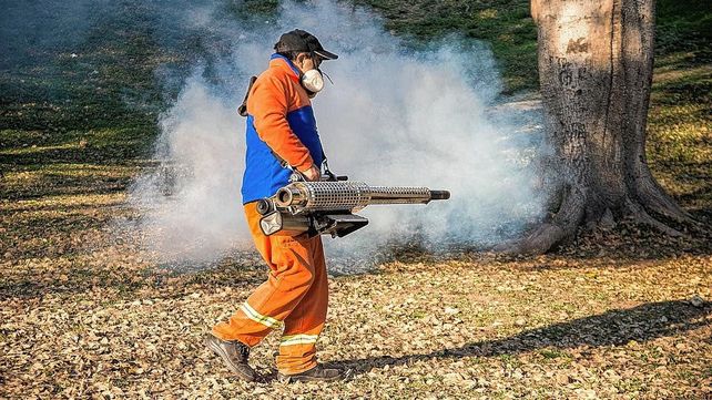 Jejenes y mosquitos ya se hacen sentir en los paseos públicos de Paraná. La diferenciación entre las modalidades para combatir estos dos tipos de insectos.&nbsp;