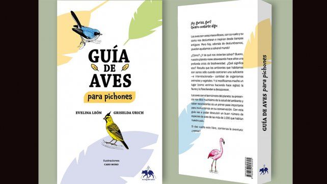 El Equipo Azul, primera editorial sobre juegos de mesa en Entre Ríos