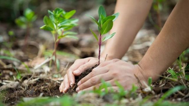 La municipalidad anunció las doce propuestas ganadoras para la iniciativa Fondo Jóvenes en Acción Climática Rosario.&nbsp;