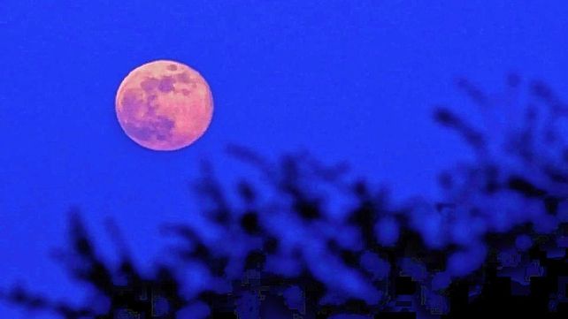 Por qué a veces la Luna se ve rosa y más grande