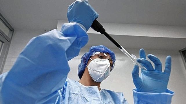 Nueva cepa descubierta.