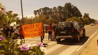 Este domingo ambientalistas realizarán una movilización en la ciudad